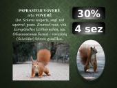 Kailių ir avikailių apžvalga 17 puslapis