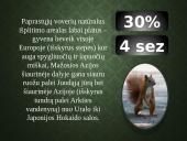 Kailių ir avikailių apžvalga 18 puslapis