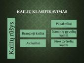 Kailių ir avikailių apžvalga 3 puslapis