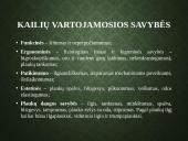 Kailių ir avikailių apžvalga 4 puslapis