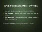 Kailių ir avikailių apžvalga 5 puslapis