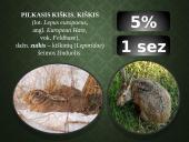 Kailių ir avikailių apžvalga 8 puslapis