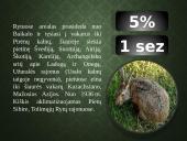 Kailių ir avikailių apžvalga 9 puslapis