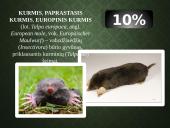 Kailių ir avikailių apžvalga 10 puslapis