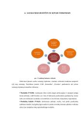 Eurokos parduotuvės vartotojų lojalumas 13 puslapis