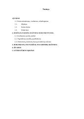 Didžiųjų raidžių rašymas įvairių įstaigų, valdymo institucijų dokumentų pavadinimuose 2 puslapis