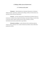 Didžiųjų raidžių rašymas įvairių įstaigų, valdymo institucijų dokumentų pavadinimuose 4 puslapis