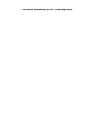 Didžiųjų raidžių rašymas įvairių įstaigų, valdymo institucijų dokumentų pavadinimuose 7 puslapis