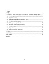 Ekonominių rodiklių skaičiavimas ir vertinimas 2 puslapis