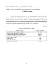 Ekonominių rodiklių skaičiavimas ir vertinimas 17 puslapis