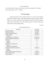 Ekonominių rodiklių skaičiavimas ir vertinimas 20 puslapis