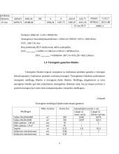 Ekonominių rodiklių skaičiavimas ir vertinimas 9 puslapis