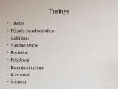 Marsas ir jo palydovai skaidrės 2 puslapis