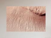 Marsas ir jo palydovai skaidrės 11 puslapis