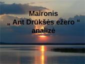 Ant Drūkšės ežero kranto