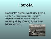 Ant Drūkšės ežero kranto 12 puslapis