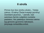 Ant Drūkšės ežero kranto 13 puslapis