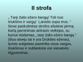 Ant Drūkšės ežero kranto 14 puslapis
