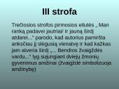 Ant Drūkšės ežero kranto 15 puslapis