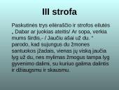 Ant Drūkšės ežero kranto 16 puslapis