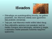 Ant Drūkšės ežero kranto 17 puslapis