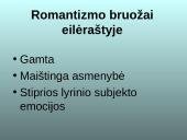 Ant Drūkšės ežero kranto 10 puslapis