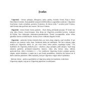 Užgavėnės referatas 3 puslapis