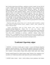 Užgavėnės referatas 5 puslapis