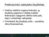 Unitarinės ir federacinės valstybės biudžetas 11 puslapis