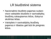 Unitarinės ir federacinės valstybės biudžetas 14 puslapis