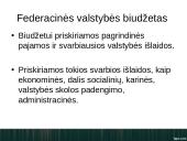 Unitarinės ir federacinės valstybės biudžetas 8 puslapis