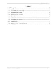 Cilindrų galvutė 2 puslapis