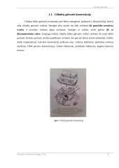 Cilindrų galvutė 5 puslapis