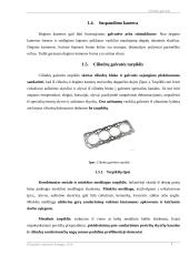 Cilindrų galvutė 7 puslapis