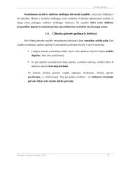 Cilindrų galvutė 8 puslapis