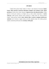 Cilindrų galvutė 9 puslapis