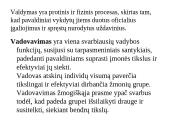 Vadovų vadovavimas ir darbuotojų motyvavimo priemonės 3 puslapis