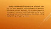 Romas (skaidrės) 6 puslapis