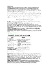 Kvėpavimo ligomis sergančiųjų slauga 2 puslapis