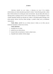 Valiutos kursas ir jo rūšys referatas 3 puslapis