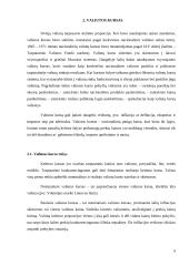 Valiutos kursas ir jo rūšys referatas 6 puslapis