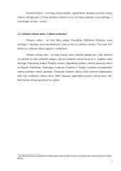 Valiutos kursas ir jo rūšys referatas 7 puslapis