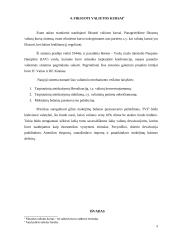 Valiutos kursas ir jo rūšys referatas 9 puslapis