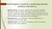 Pramoninė vaistų technologija apie pleistrus 4 puslapis