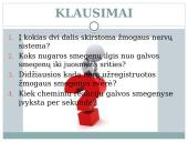 Nervu sistema skaidrės 14 puslapis