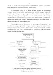 Organizacijos planavimo ypatumų analizė 11 puslapis