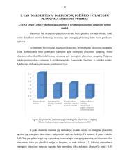 Organizacijos planavimo ypatumų analizė 12 puslapis