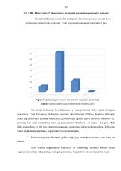 Organizacijos planavimo ypatumų analizė 15 puslapis