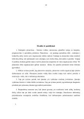 Organizacijos planavimo ypatumų analizė 20 puslapis