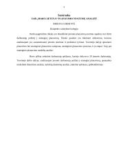 Organizacijos planavimo ypatumų analizė 3 puslapis